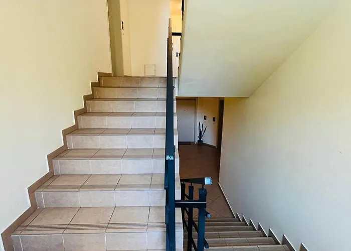 Freesia With Underground Parking *